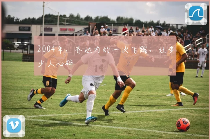 2004年，齐达内的一次飞踹，让多少人心碎
