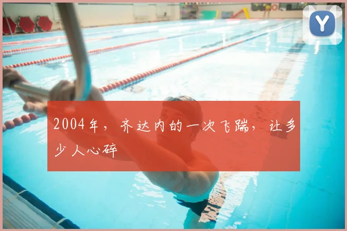 2004年，齐达内的一次飞踹，让多少人心碎