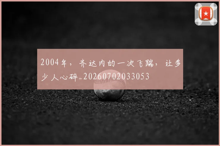 2004年，齐达内的一次飞踹，让多少人心碎_20260702033053
