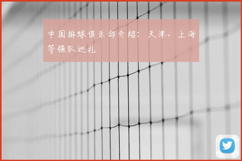 中国排球俱乐部介绍：天津、上海等强队巡礼